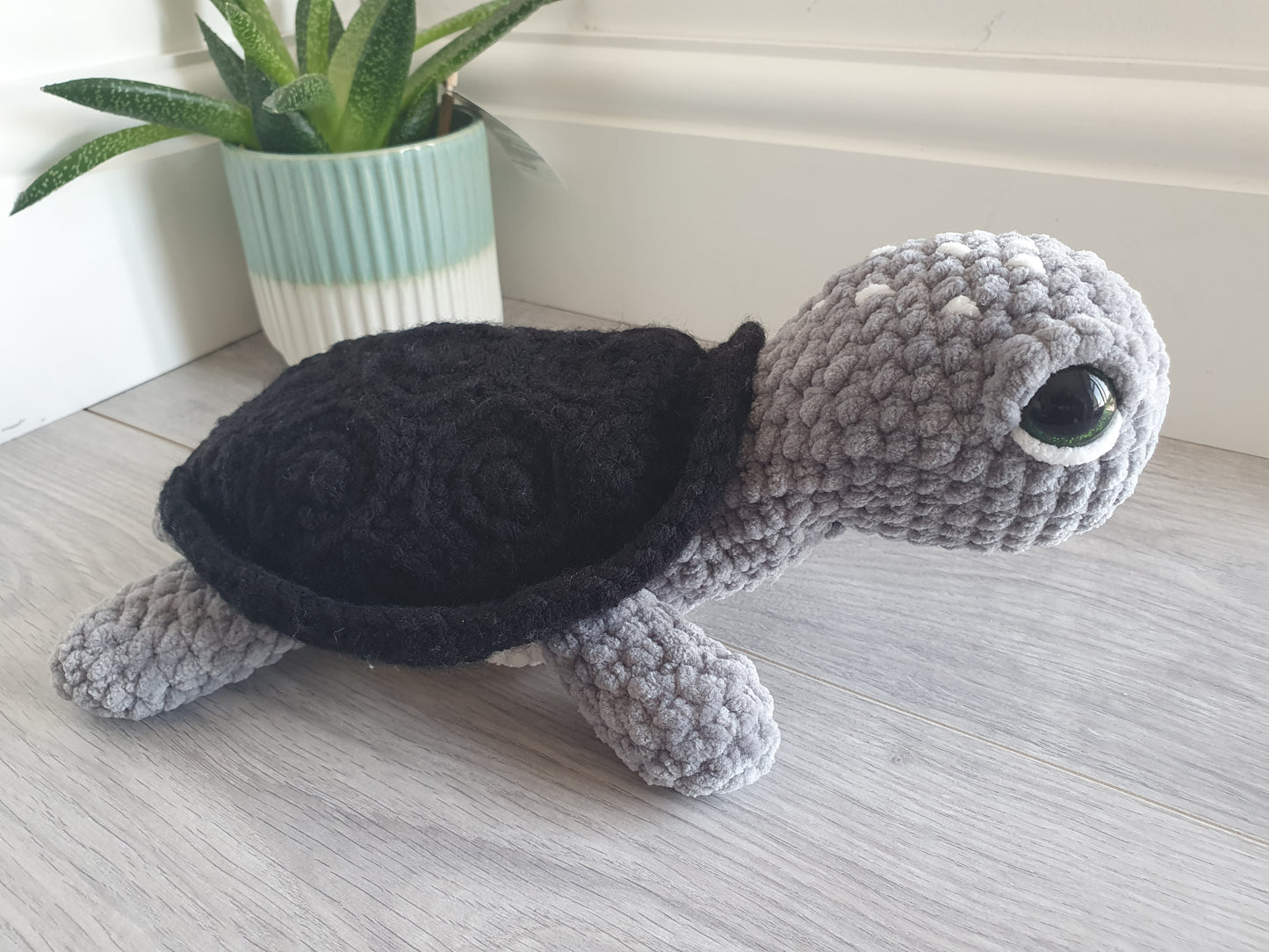 Turtle - Shelly