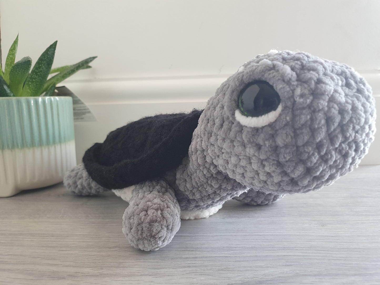 Turtle - Shelly