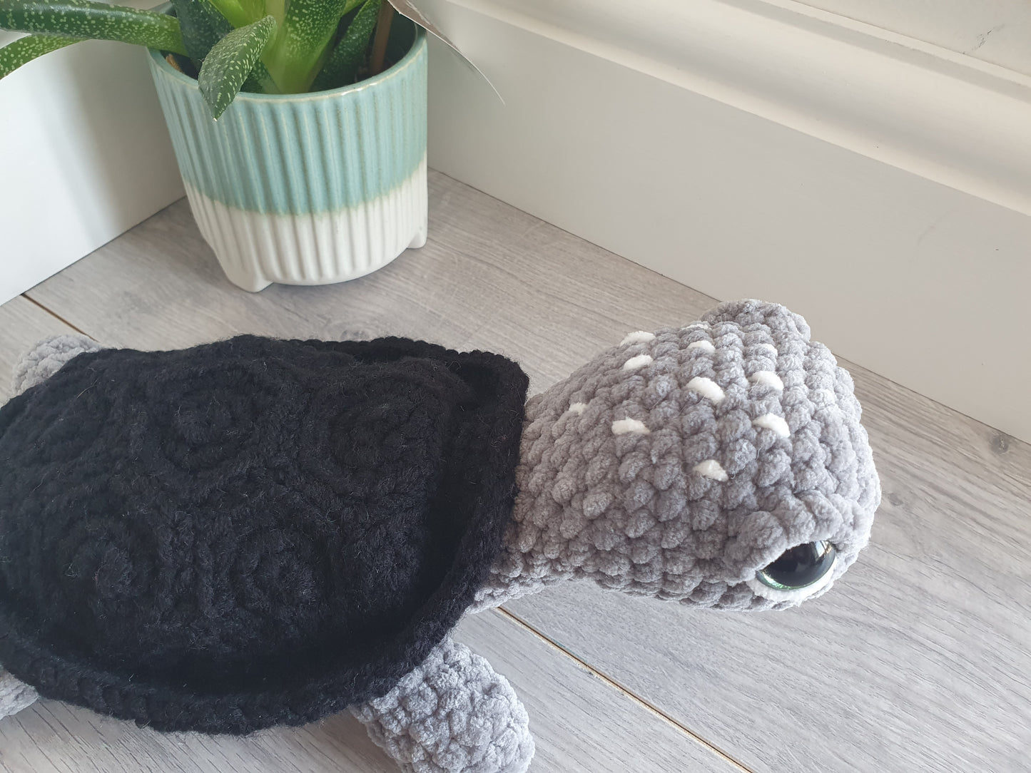Turtle - Shelly