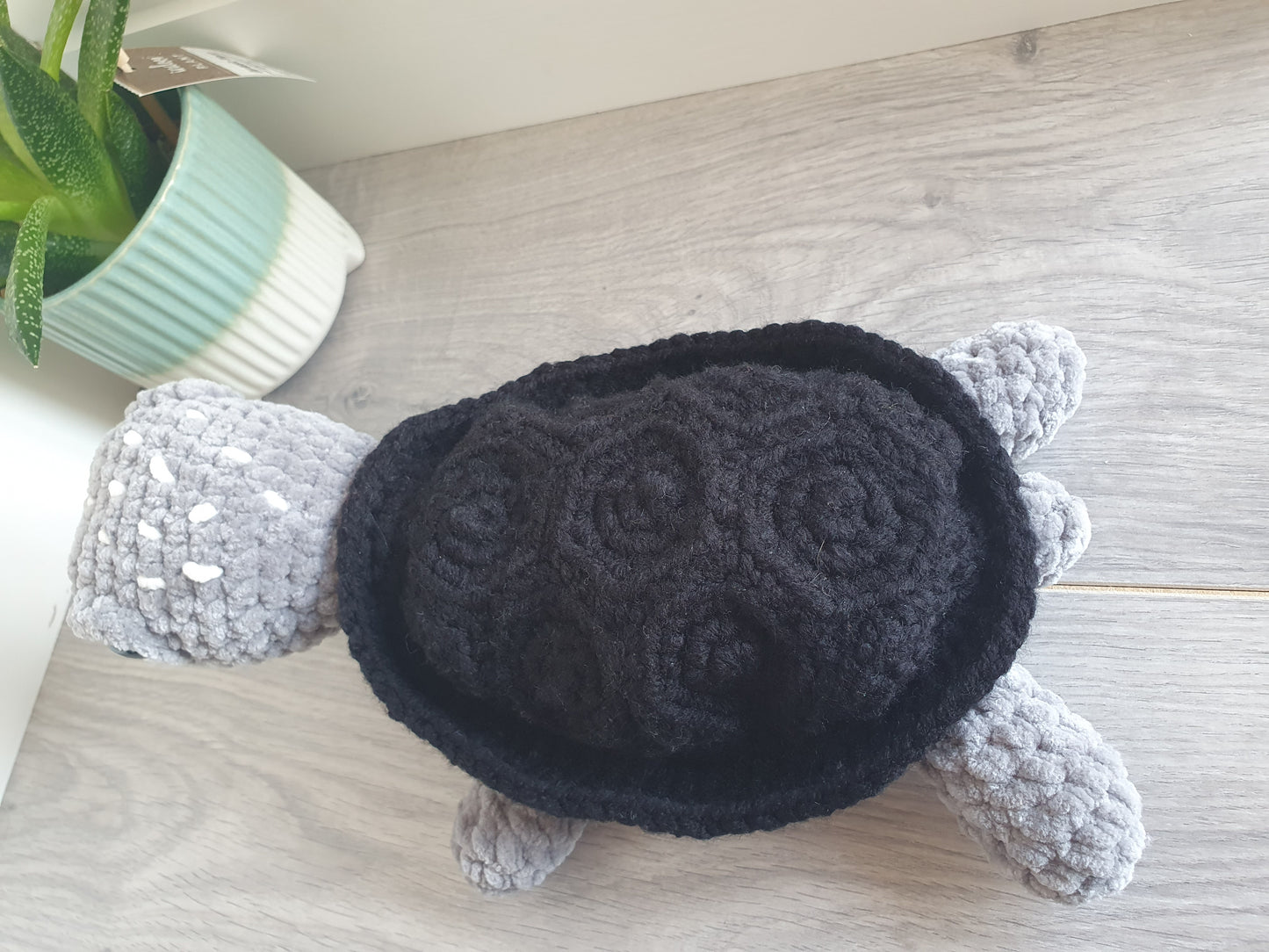 Turtle - Shelly