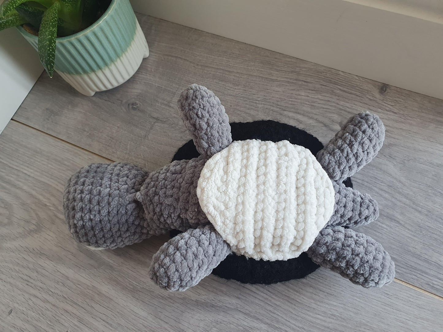 Turtle - Shelly