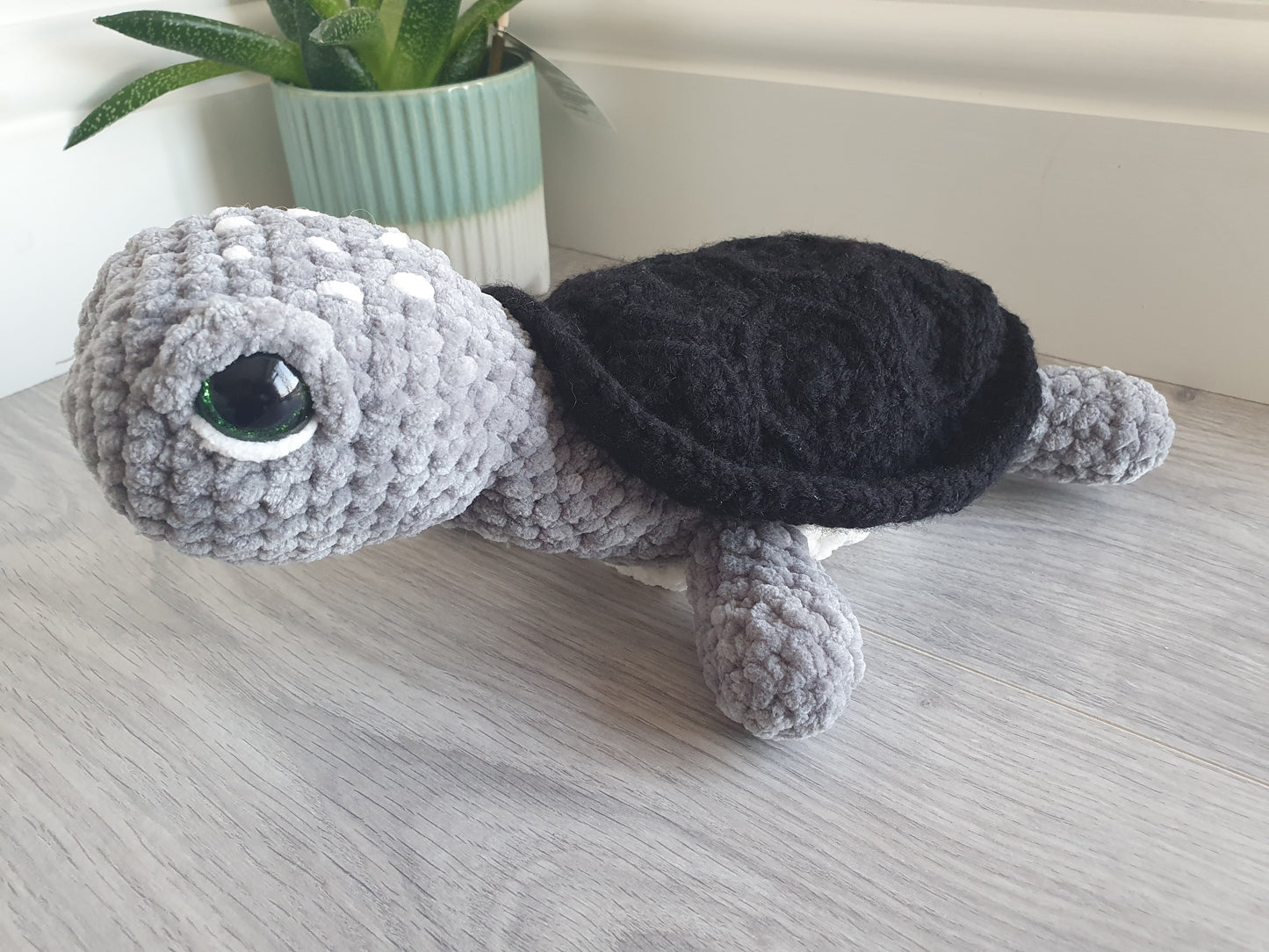Turtle - Shelly