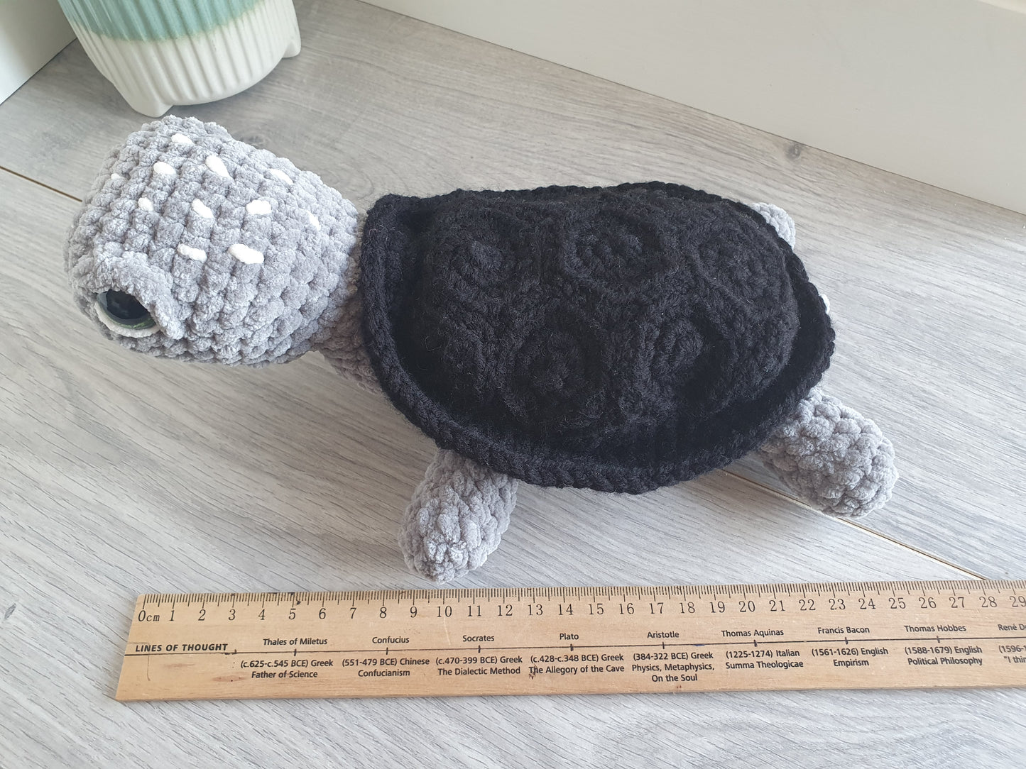 Turtle - Shelly