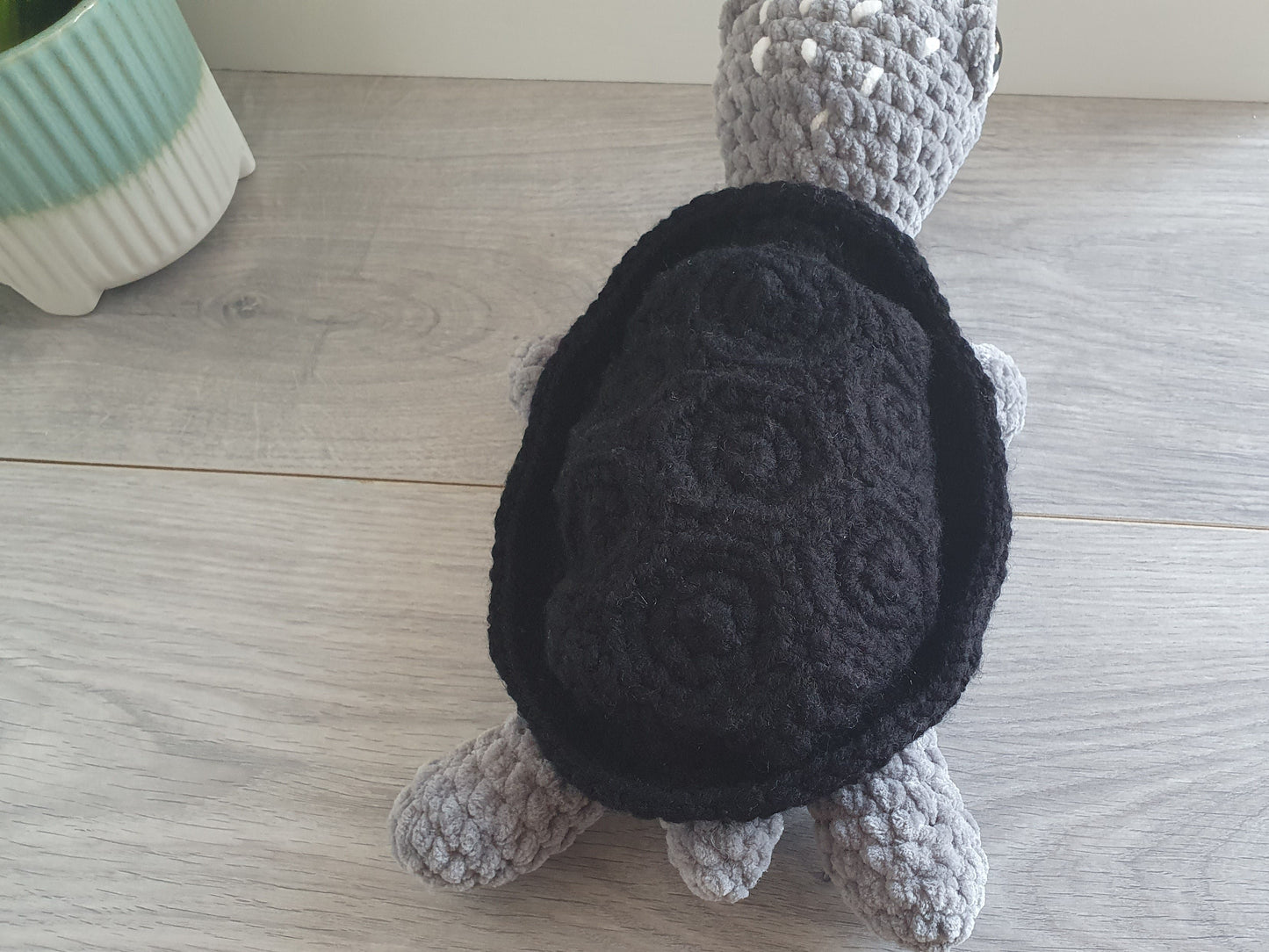 Turtle - Shelly