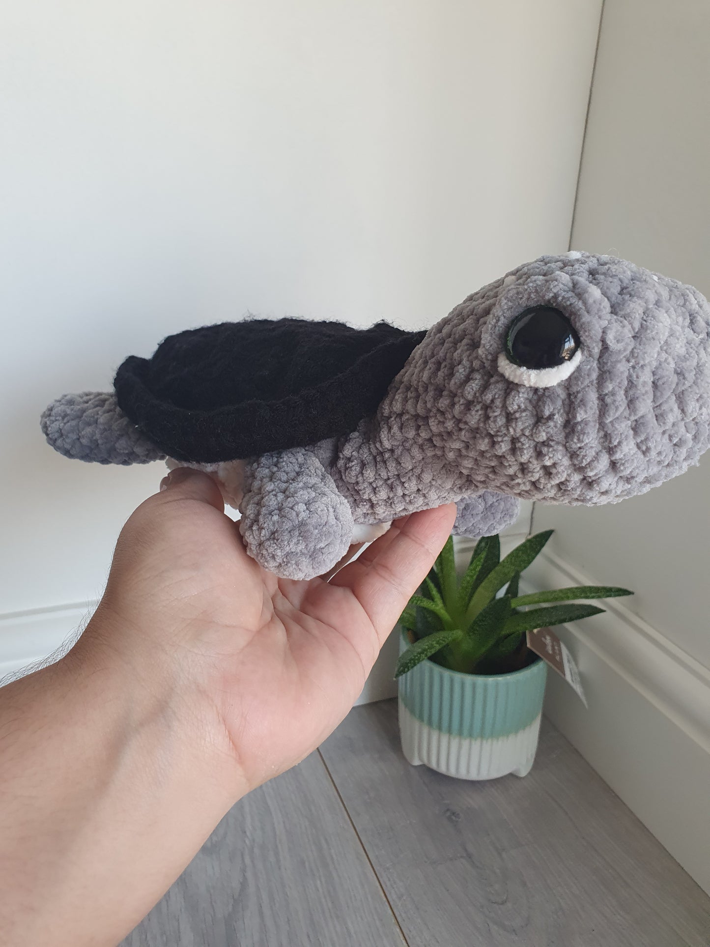 Turtle - Shelly