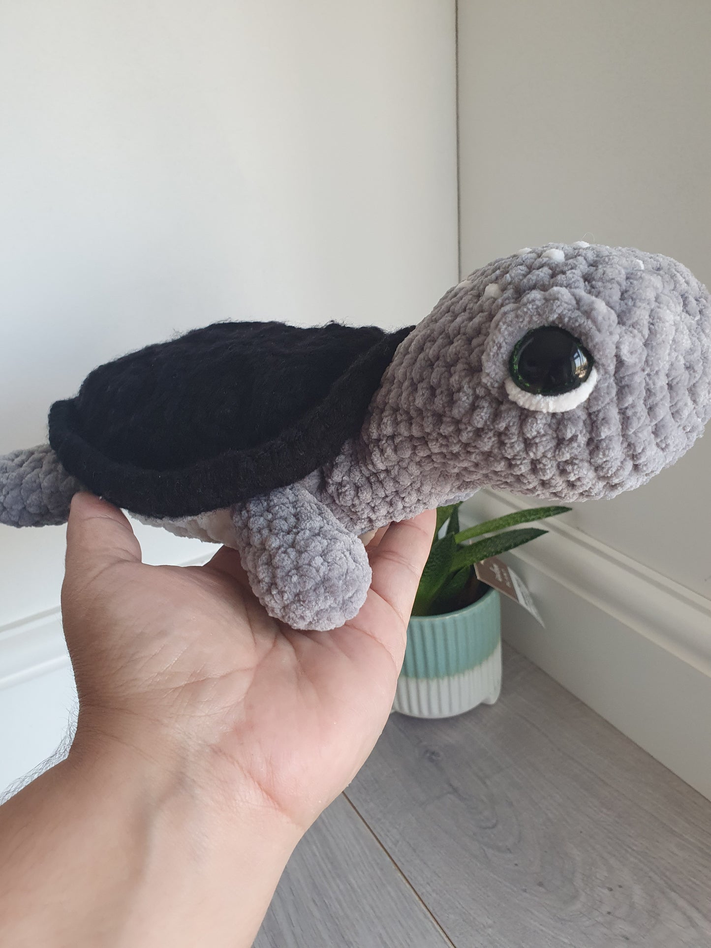 Turtle - Shelly
