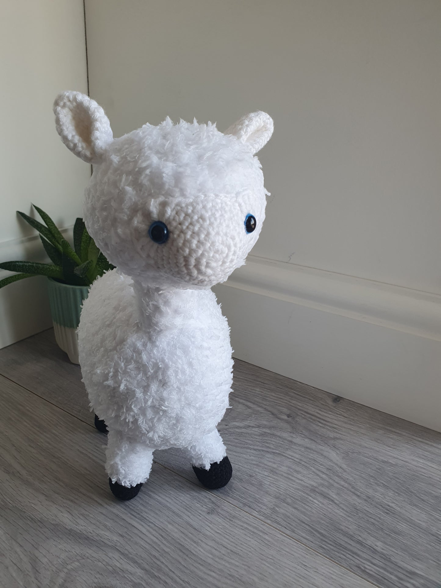 Alpaca - Almina