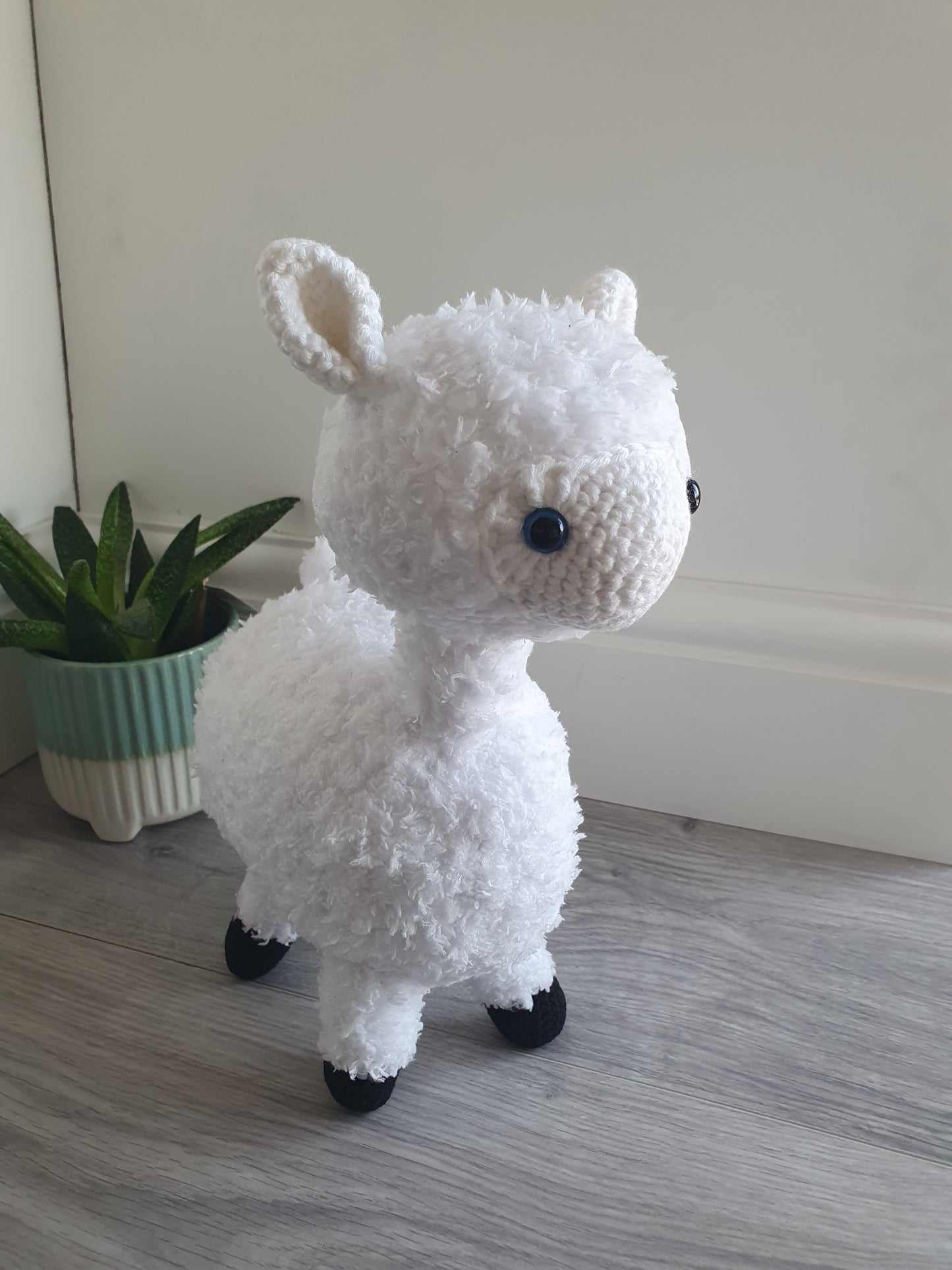 Alpaca - Almina