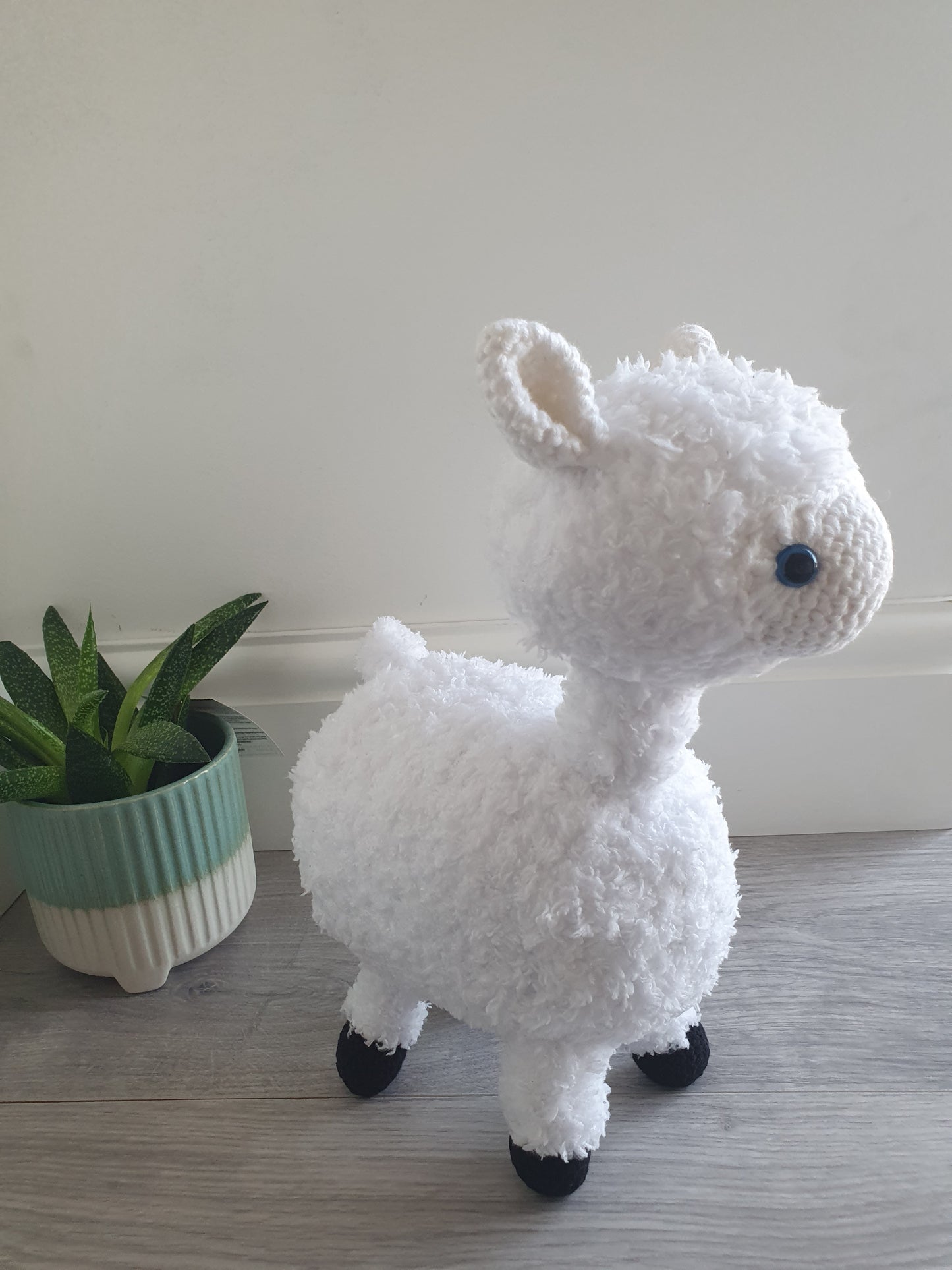 Alpaca - Almina