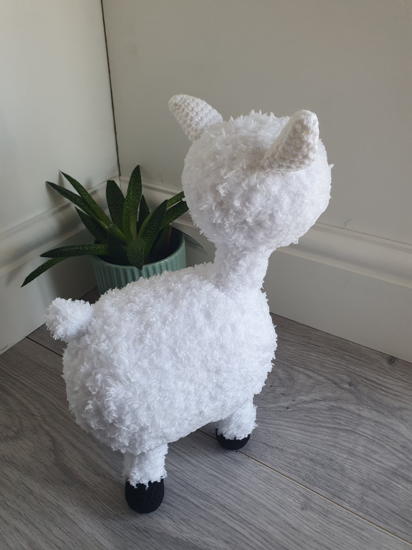 Alpaca - Almina