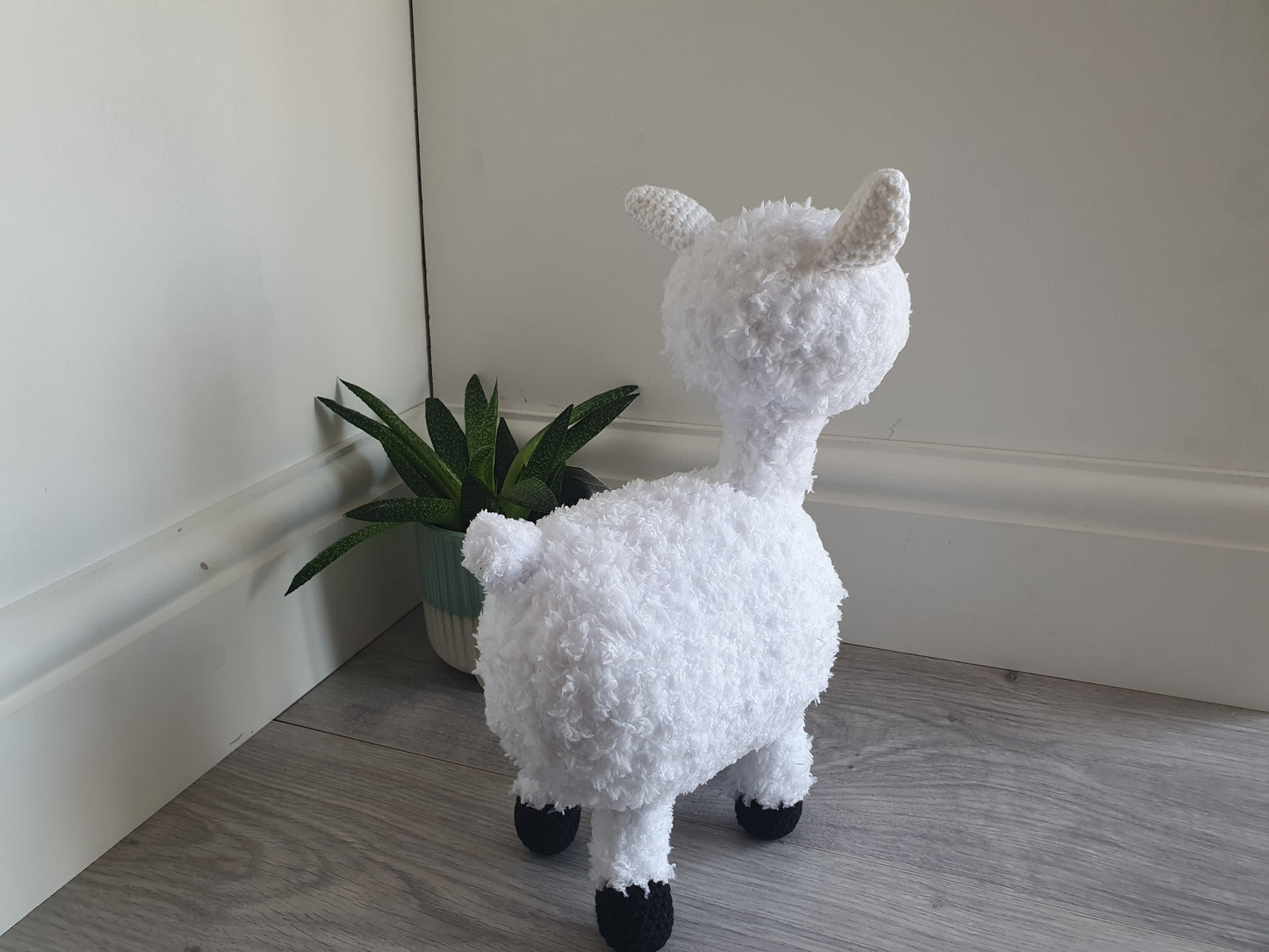 Alpaca - Almina