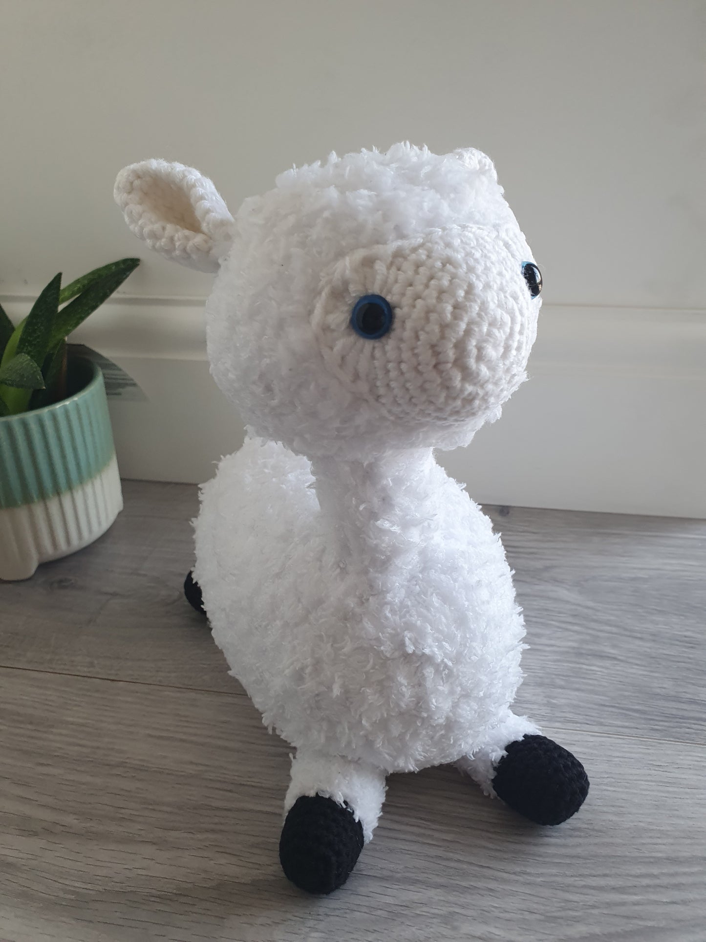 Alpaca - Almina