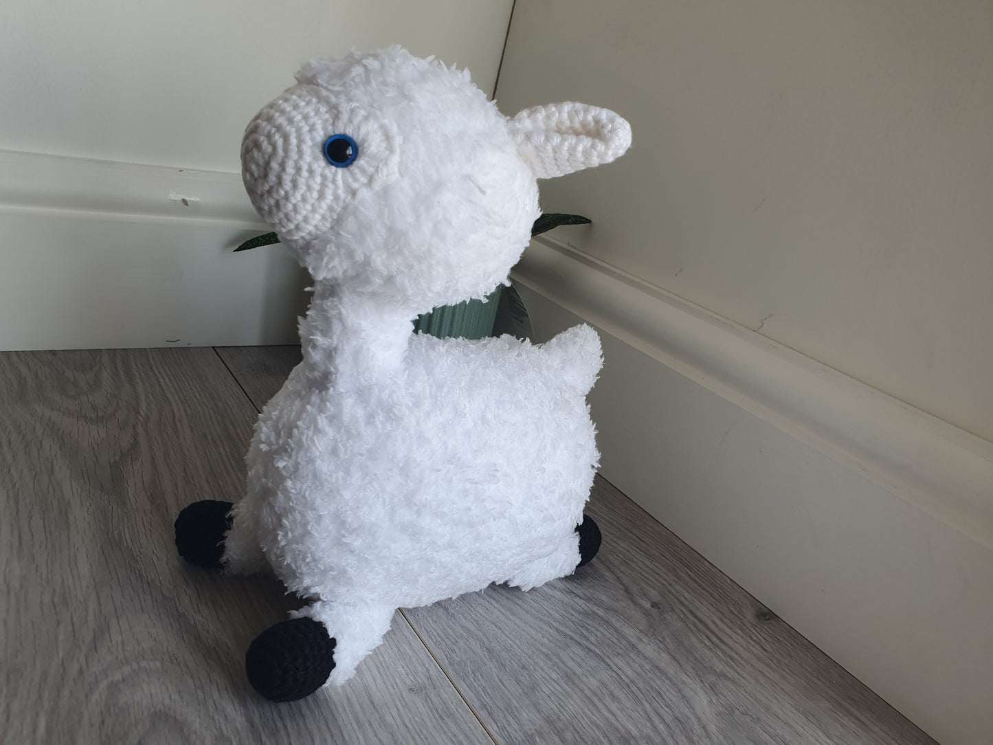 Alpaca - Almina