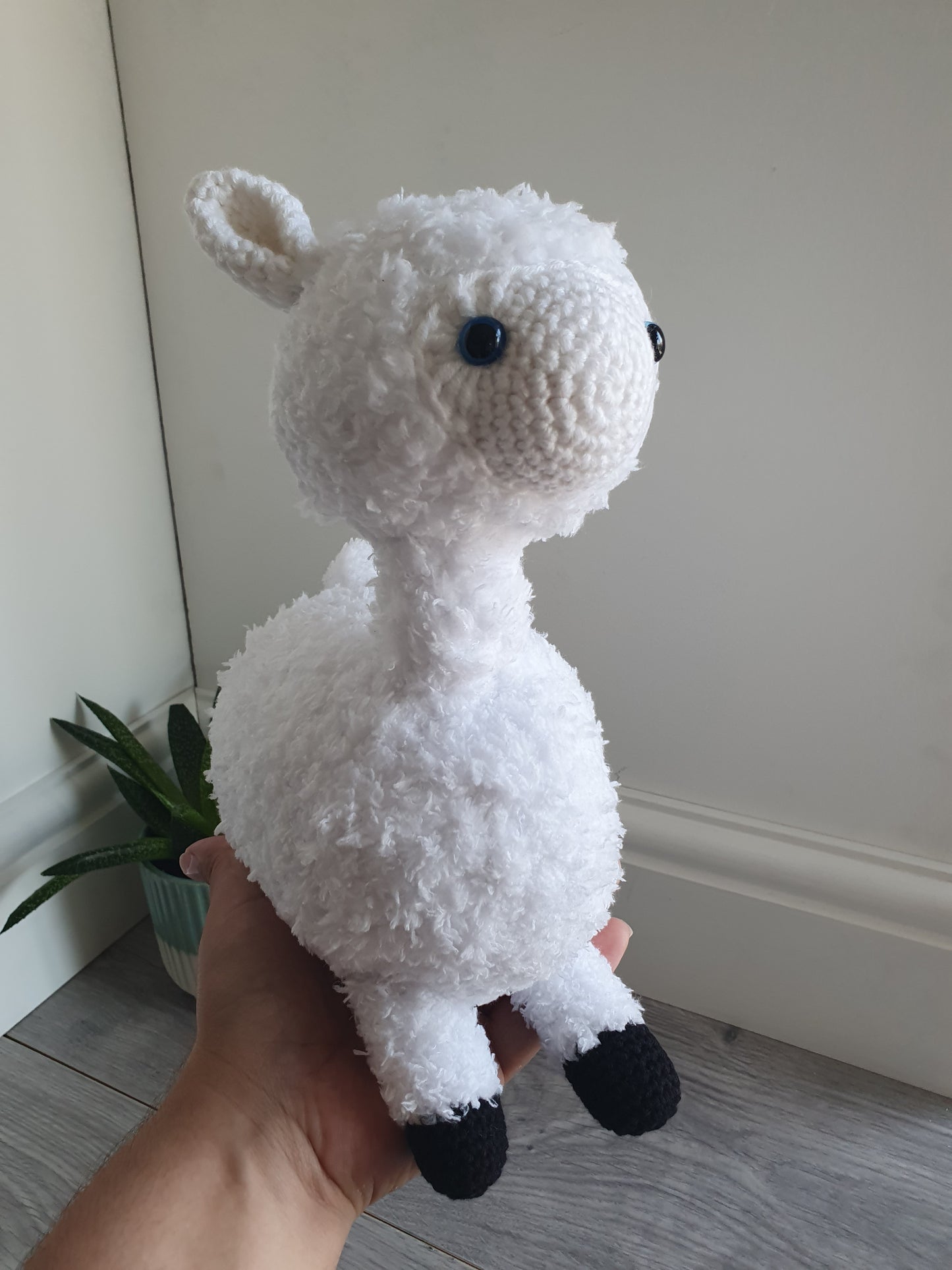 Alpaca - Almina