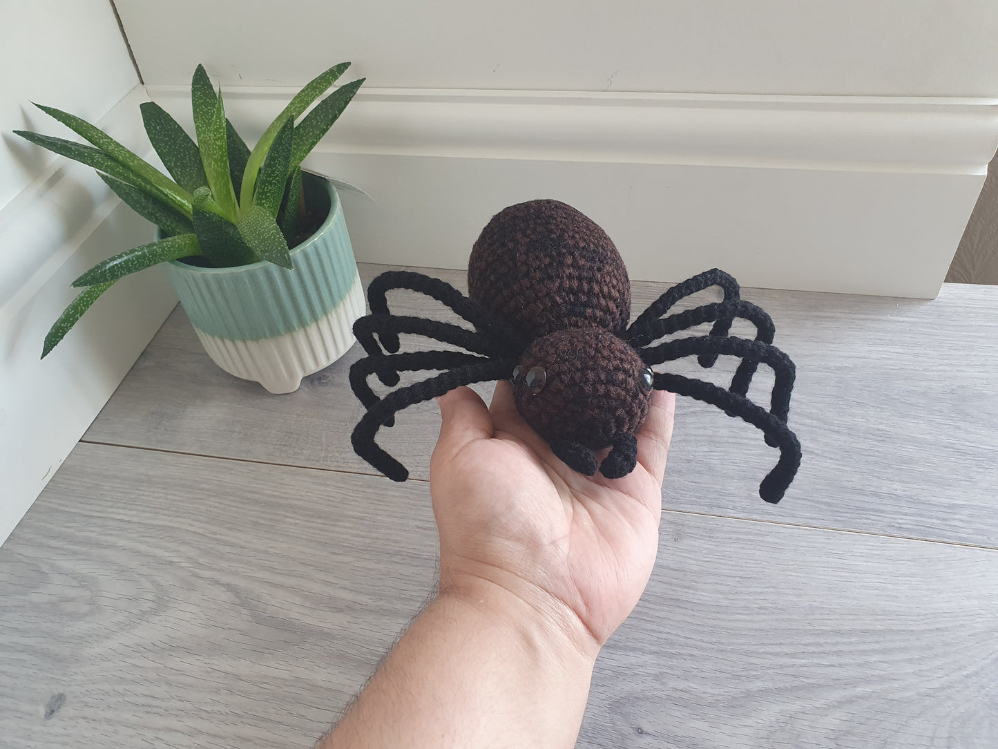 Big Spider - Webby