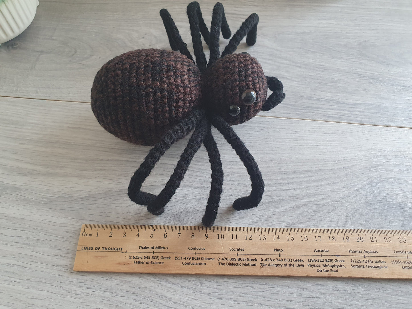 Big Spider - Webby