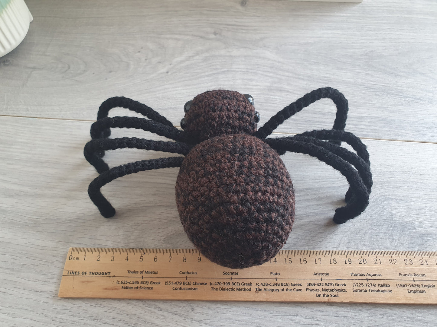 Big Spider - Webby