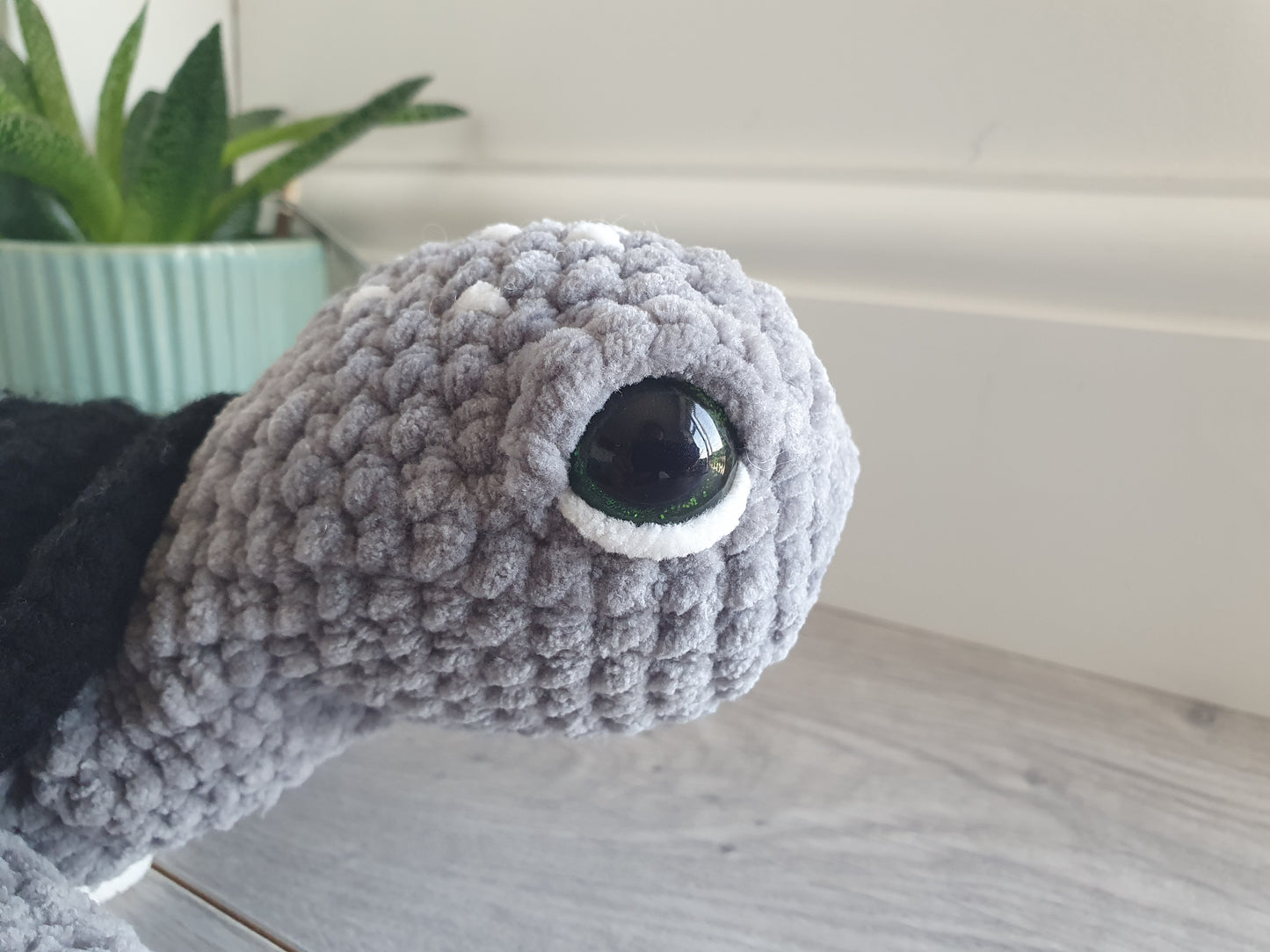 Turtle - Shelly