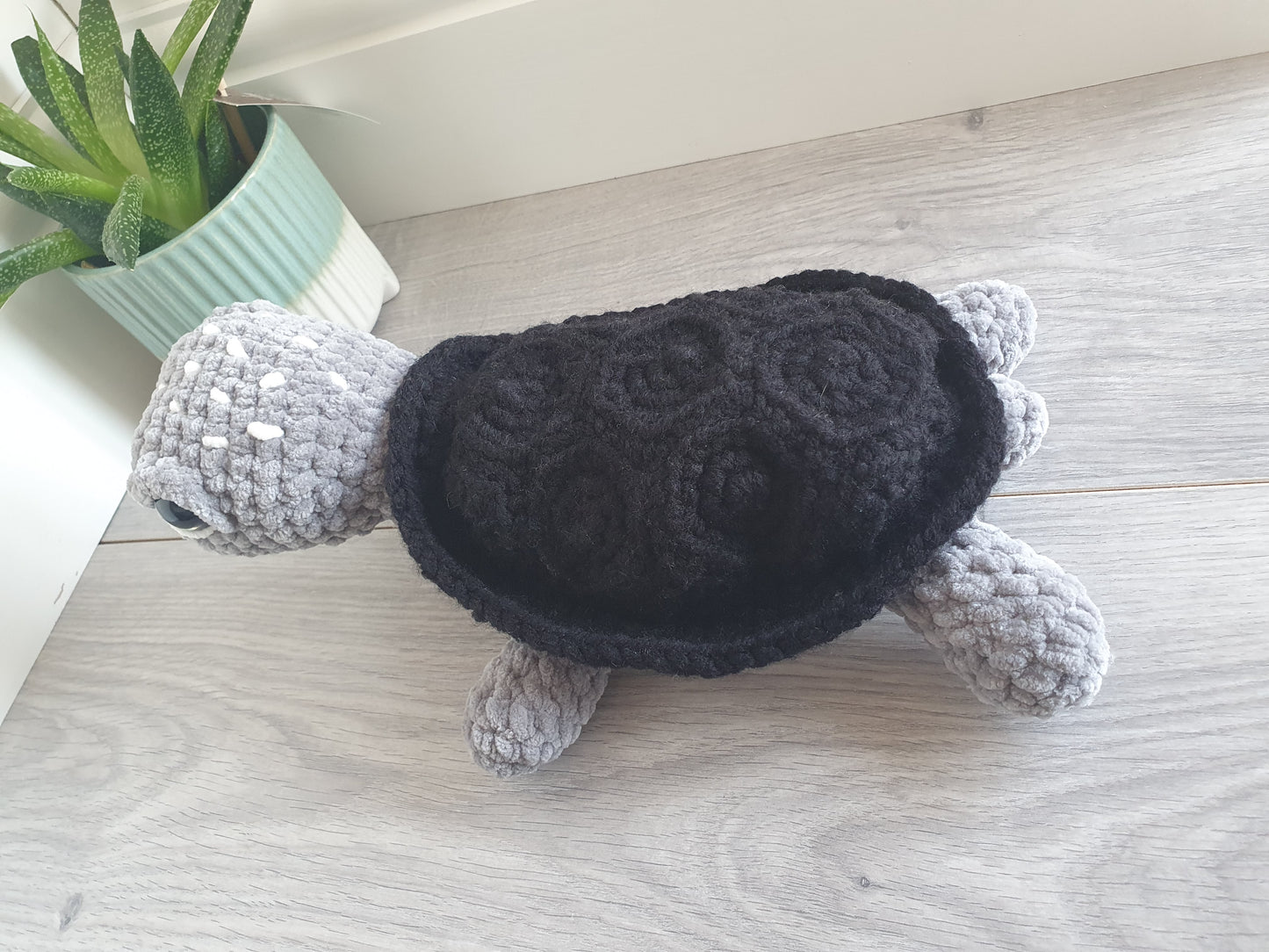 Turtle - Shelly